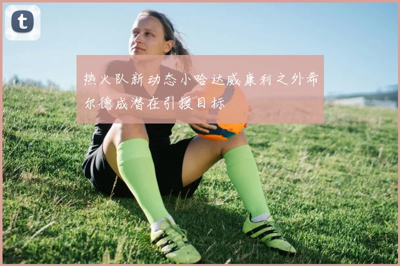 热火队新动态小哈达威康利之外希尔德成潜在引援目标